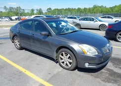 1N4BA41E76C848672: 41978527