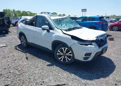 JF2SKASC1MH517607: 41981825