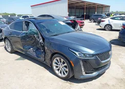 1G6DW5RKXM0144424: 41985803