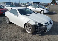 WDBWK54F68F189017: 41990622