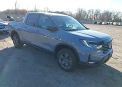 5FPYK3F67RB024392: 41991740