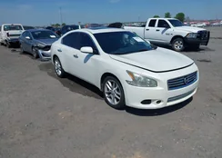 1N4AA5AP6EC493463: 41993967