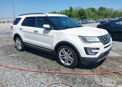 1FM5K7F86GGA83100: 41999031