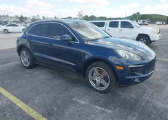 WP1AB2A57GLB49131: 41999683