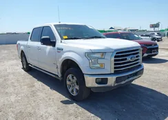 1FTEW1CP2FKE82406: 41999840