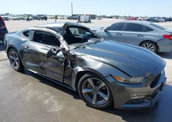 1FA6P8AM6F5430901: 42001629