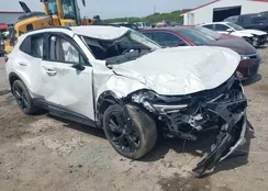 LRBAZLR44PD074430: 42005986