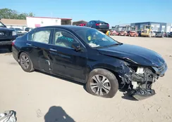 1HGCR2F33DA038341: 42010490