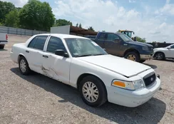 2FAFP71V98X142469: 42013775