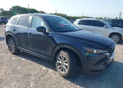 JM3KFBCM1P0244646: 42019705