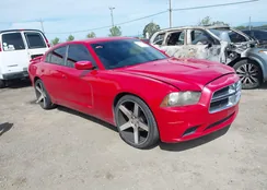 2C3CDXBGXDH565401: 42024175