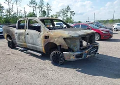 1N6BA1F48HN541119: 42038632