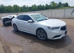 19UUB2F43LA001094: 42050099