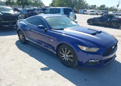 1FA6P8AM2G5316752: 42053822