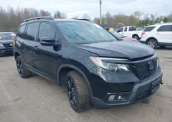 5FNYF8H5XKB024116: 42055543