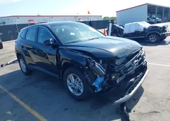 5NMJA3DE2SH521863: 42059301