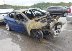 1C3CDFEB2ED833267: 42064557