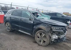 KNDRHDLG6P5202127: 42064722