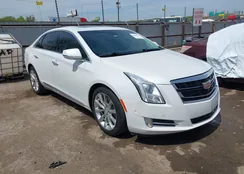 2G61M5S37G9178911: 42066983