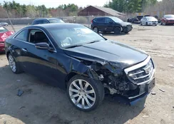 1G6AF1RX8K0125102: 42074931