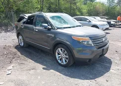 1FM5K7F87FGC15537: 42077533