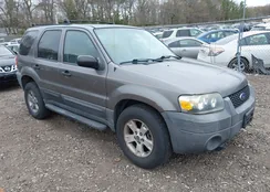 1FMYU931X5DA05038: 42090837