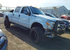 1FT7W2B62FED60120: 42094823