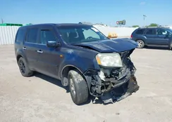 5FNYF4H45BB067553: 42097833