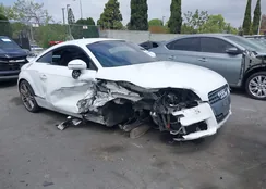 TRUJF38J391008110: 42105892