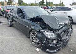 WDDLJ7EB1DA061960: 42110159