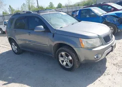 2CKDL63F566035380: 42113804