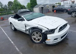 1ZVBP8EM2E5292126: 42117315