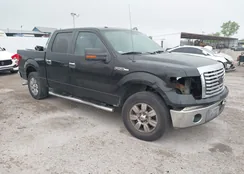 1FTFW1CF4CKE17600: 42120211