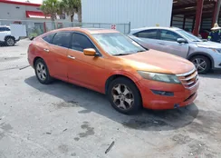 5J6TF1H54BL001195: 42124443