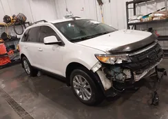 2FMDK4KC8BBA49969: 42126962