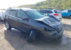 1C4PJMCB1EW208389: 42129933