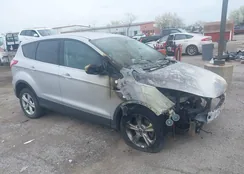 1FMCU9GX2DUB97742: 42130448