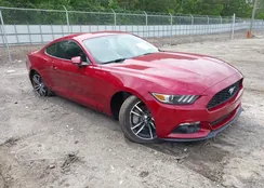 1FA6P8TH2H5322097: 42132961