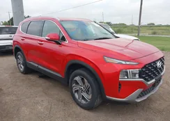 5NMS2DAJ0PH484022: 42134881