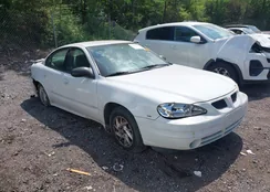 1G2NF52E04C247005: 42134458