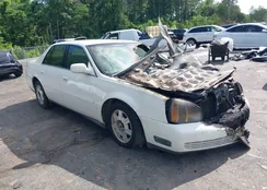 1G6KD54Y31U287423: 42138133