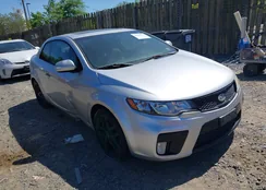 KNAFW6A31A5156344: 42145723