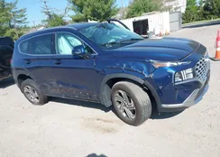 5NMS2DAJ6MH346559: 42145731