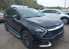 KNDPXCDG2R7145788: 42146841