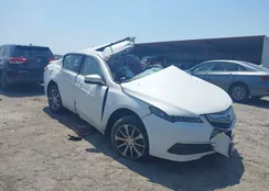 19UUB1F36GA007298: 42151589