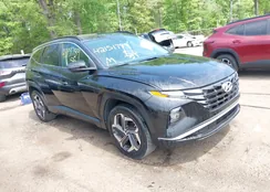 KM8JFCA17NU079013: 42151789