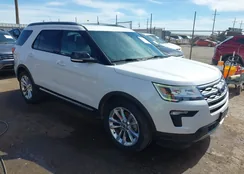 1FM5K7D80JGB55452: 42155596