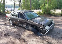 1MEPM36XXMK628732: 42155760