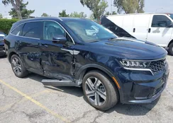 KNDRHDLGXP5163252: 42158149