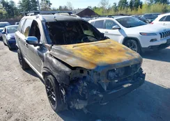 YV4952CZ9D1628893: 42158345